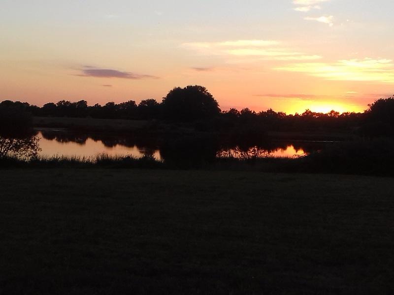 Entre chien et loup sur les bords de l'étang Massé