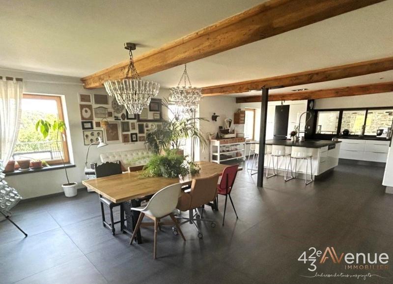Maison - 375 m² - 10 pièces