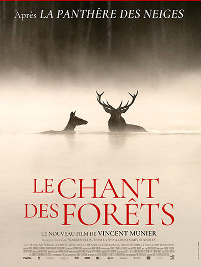 Exposition Vincent Munier - le Chant des Forêts