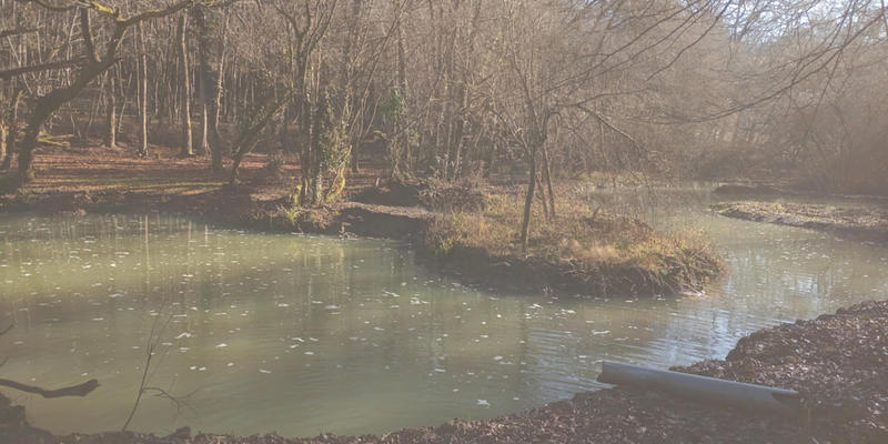 Terrain - 140 000 m²