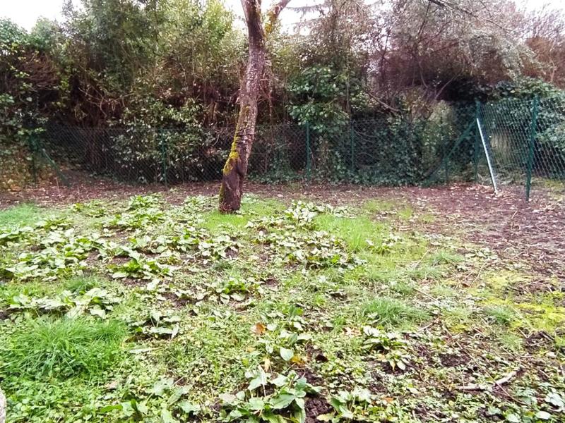 Maison - 76 m² - 4 pièces