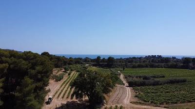 Maison - 230 m² - 7 pièces