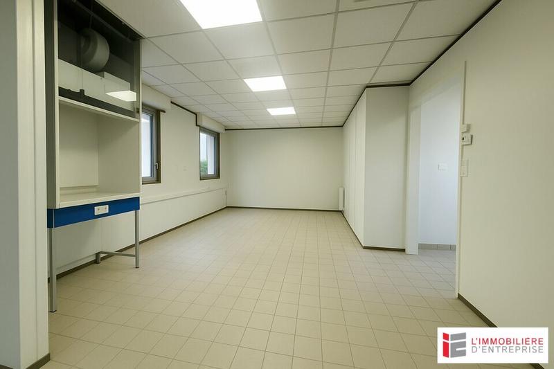 Bureau - 300 m²