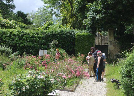 Journée découverte : &quot;La rose dans tous ses états&quot;