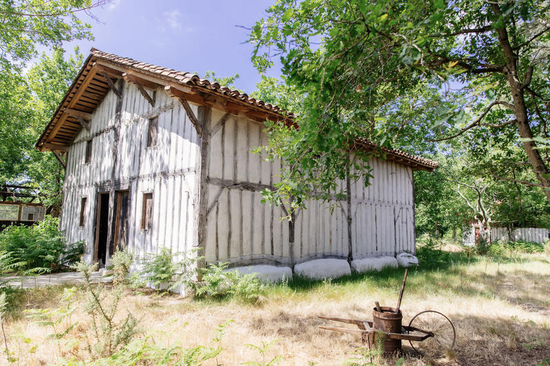 Journée découverte du Conservatoire des Landes de Gascogne