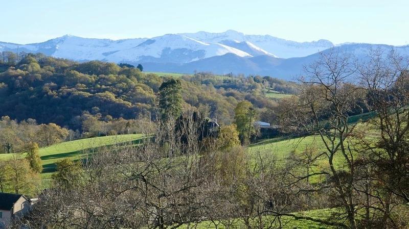 Propriété - 450 m² - 8 pièces