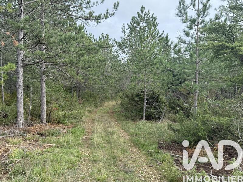 Terrain - 991 703 m²