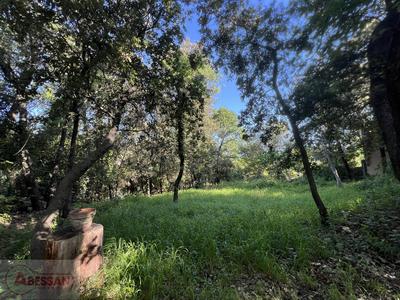 Maison - 156 m² - 5 pièces