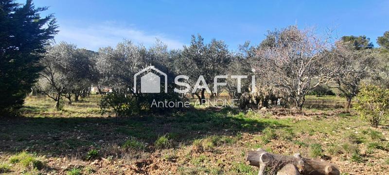 Maison - 113 m² - 5 pièces