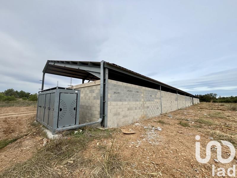 Terrain - 16 205 m²