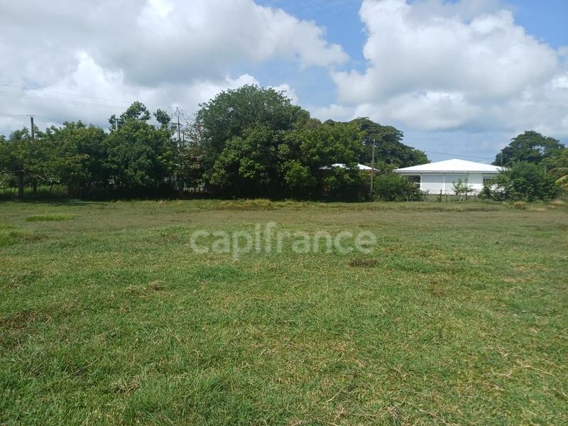 Terrain constructible - 1 000 m²