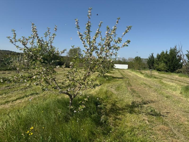 Terrain de loisirs - 2 600 m²