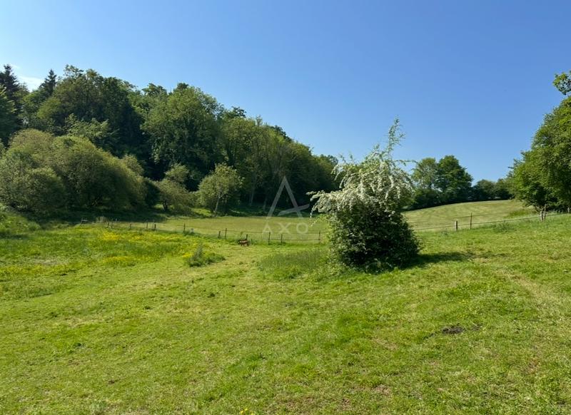 Haras - 130 m² - 5 pièces