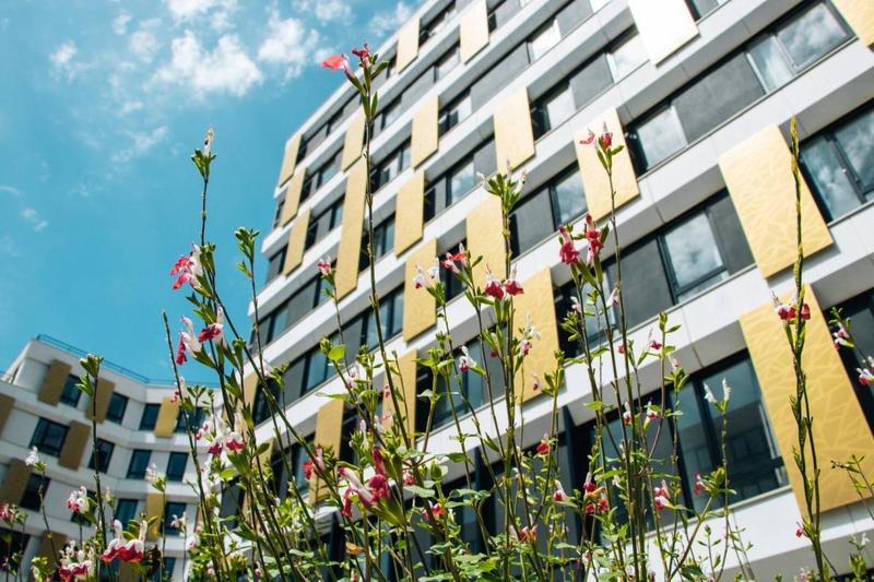 Chambre - 21 m² - 4 pièces