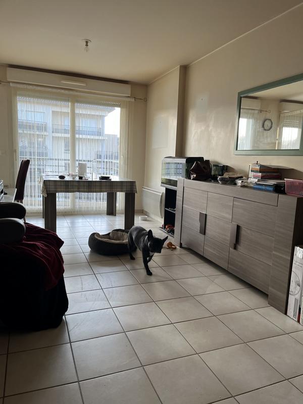 Appartement - 53 m² - 2 pièces