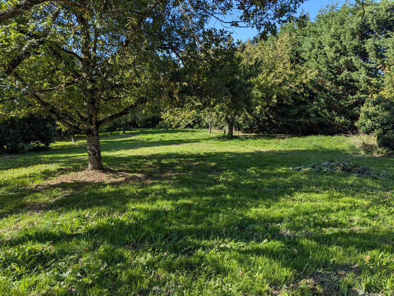 Maison - 65 m² - 3 pièces