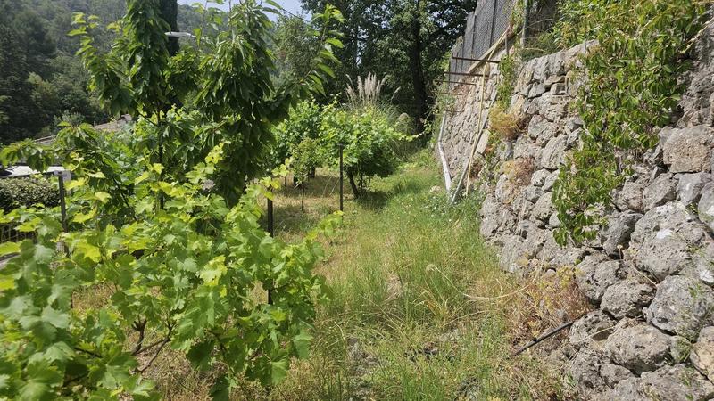 Maison - 181 m² - 5 pièces