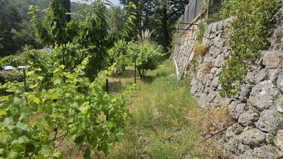 Maison - 181 m² - 5 pièces