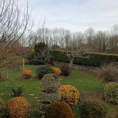 Maison - 143 m² - 5 pièces