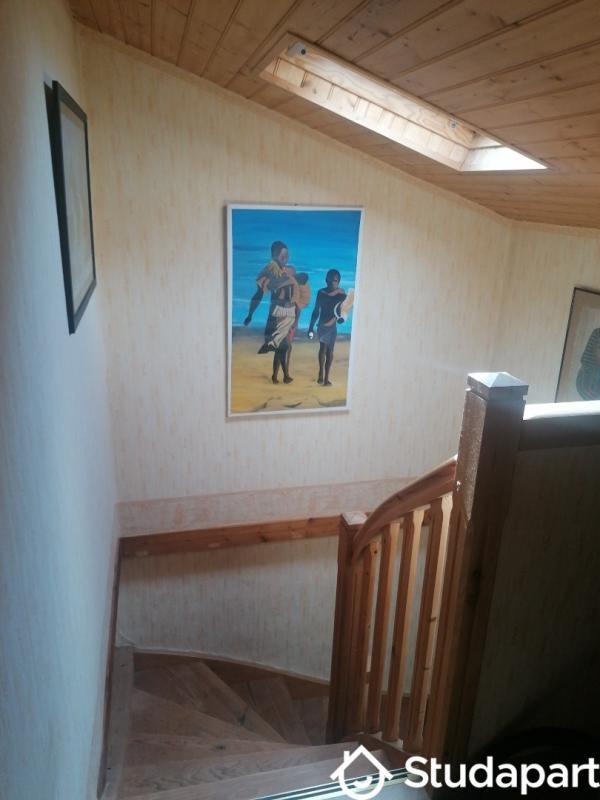 Chambre - 24 m² - 1 pièce