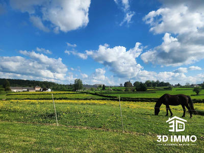 Maison - 400 m² - 7 pièces