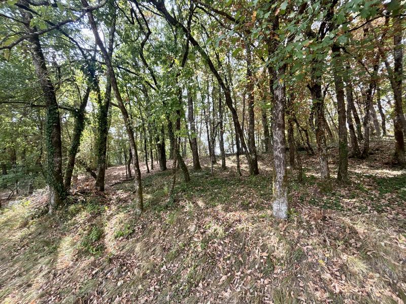 Maison traditionnelle - 180 m² - 6 pièces