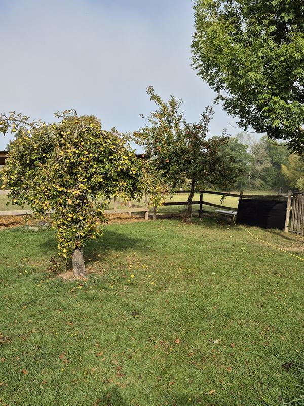 Maison - 77 m² - 3 pièces