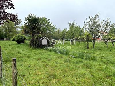 Terrain - 1 623 m²