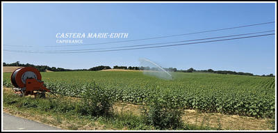 Propriété - 860 m² - 1 pièce