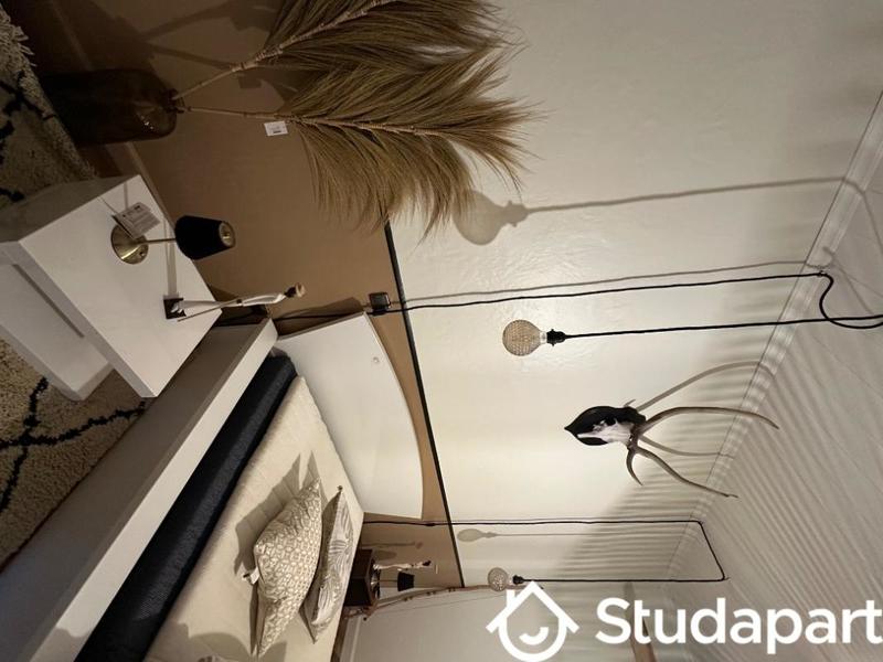 Chambre - 14 m² - 1 pièce