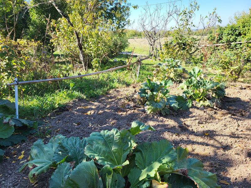 Maison traditionnelle - 137 m² - 6 pièces