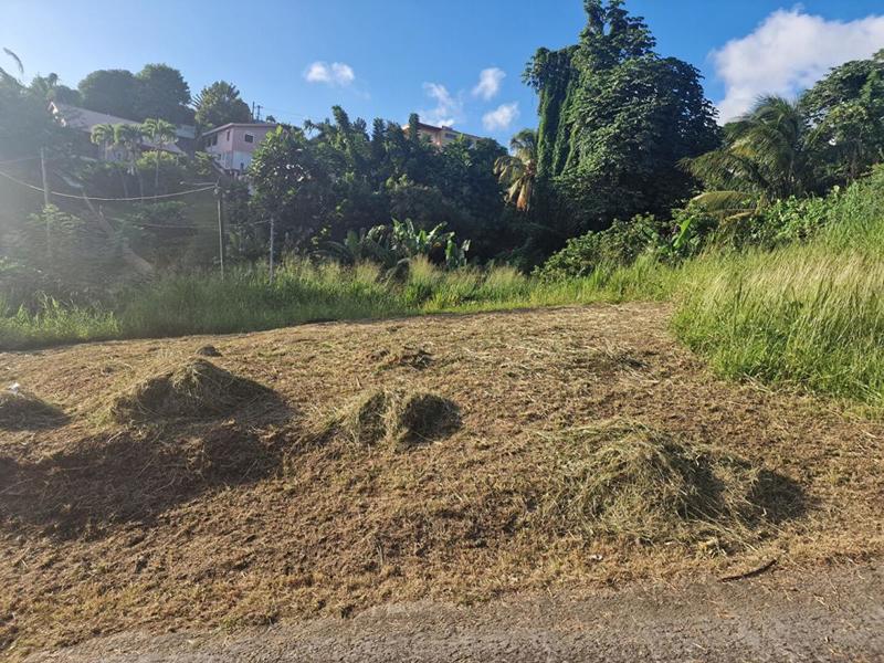 Terrain constructible - 517 m²