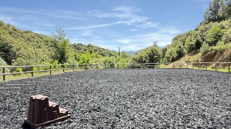 Propriété - 200 m² - 6 pièces