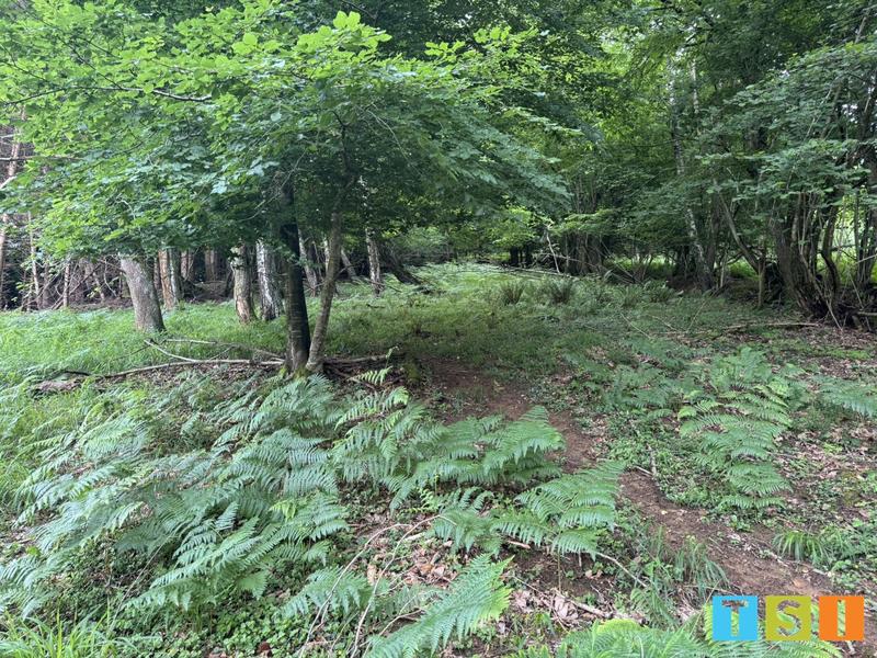 Maison - 25 m² - 1 pièce