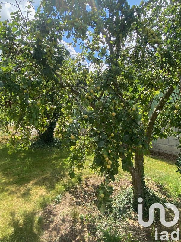 Maison - 133 m² - 5 pièces