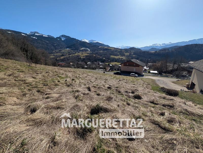 Terrain - 3 206 m²