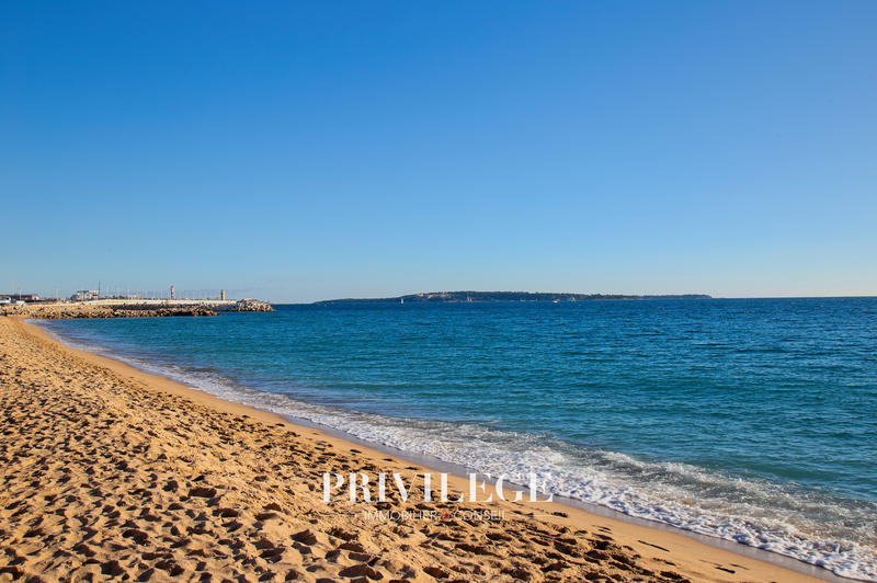 Appartement - 34 m² - 1 pièce