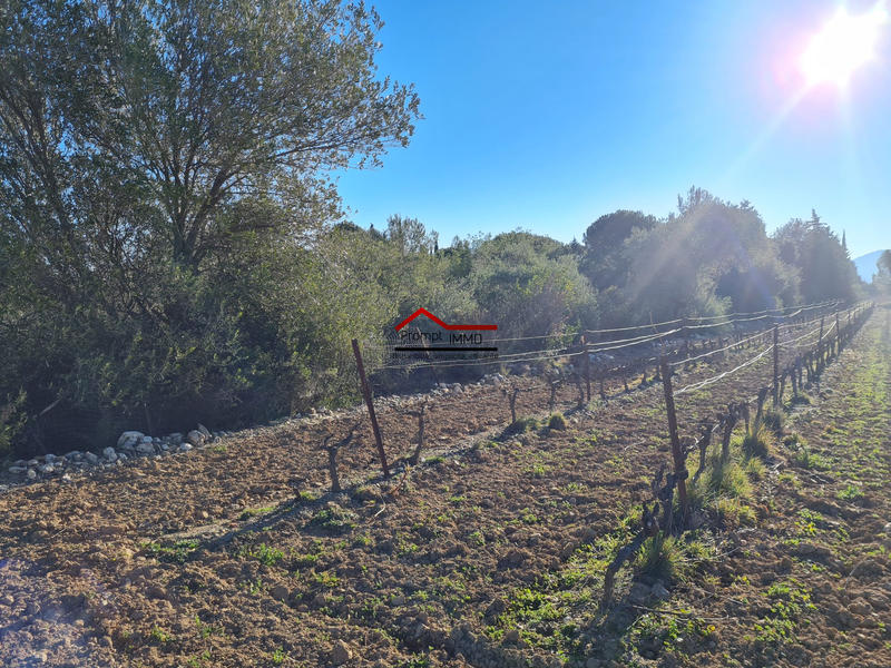 Terrain agricole - 5 730 m²
