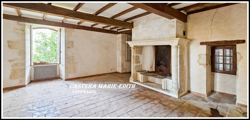 Château - 500 m² - 16 pièces