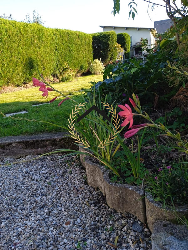 Maison - 64 m² - 3 pièces