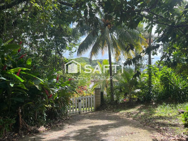 Villa - 350 m² - 12 pièces