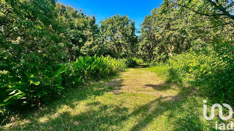 Maison - 650 m² - 12 pièces