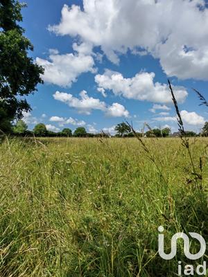 Terrain - 31 982 m²