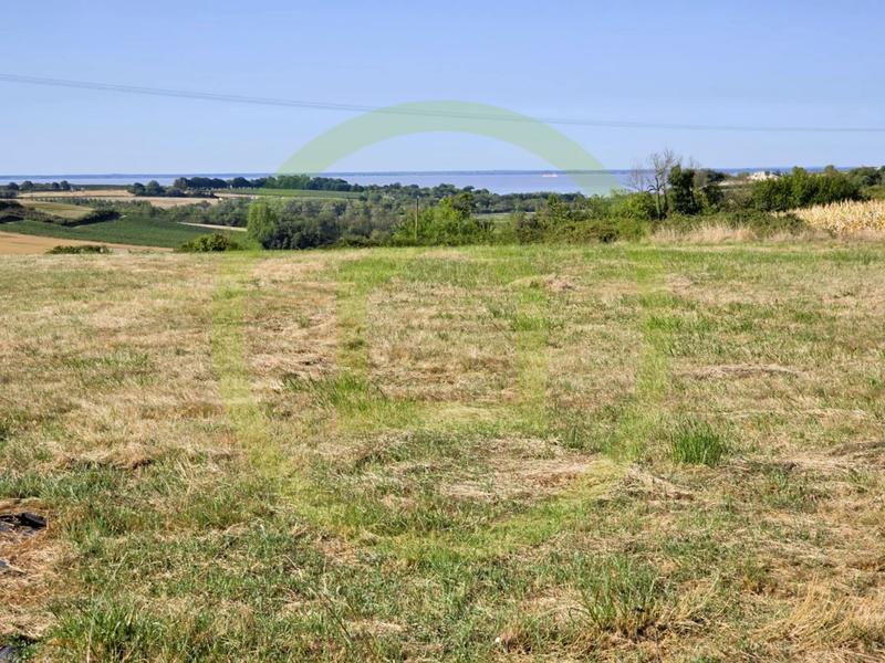 Maison - 207 m² - 7 pièces