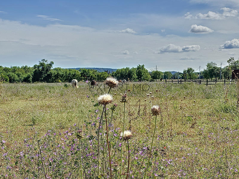 Maison - 164 m² - 5 pièces