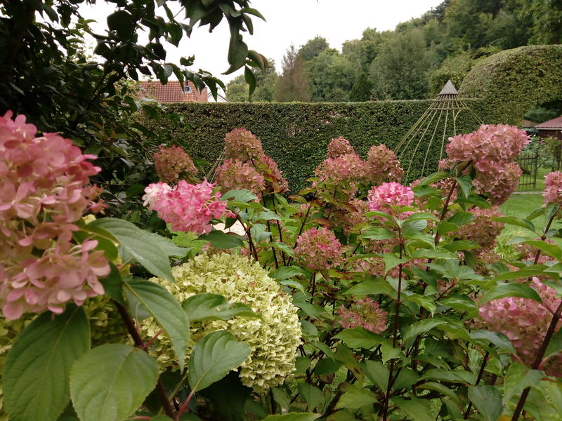 Programmation 2026 au Jardin des Hayures