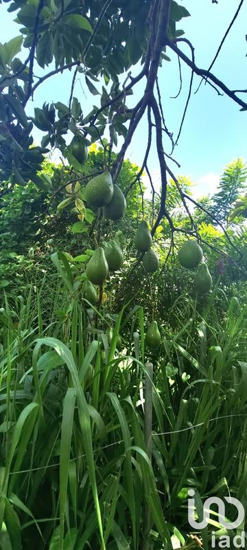 Maison - 250 m² - 9 pièces