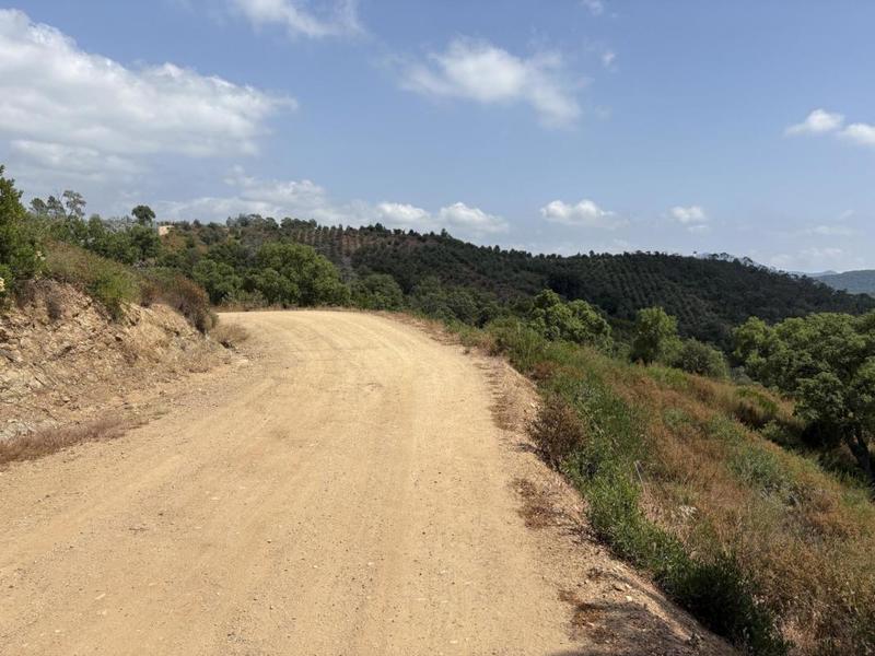 Terrain agricole - 80 000 m²