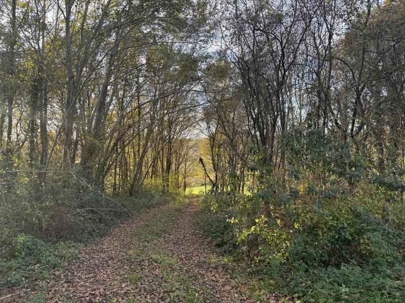 Terrain - 15 500 m²