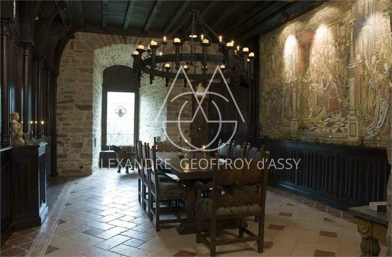 Château - 3 500 m² - 30 pièces